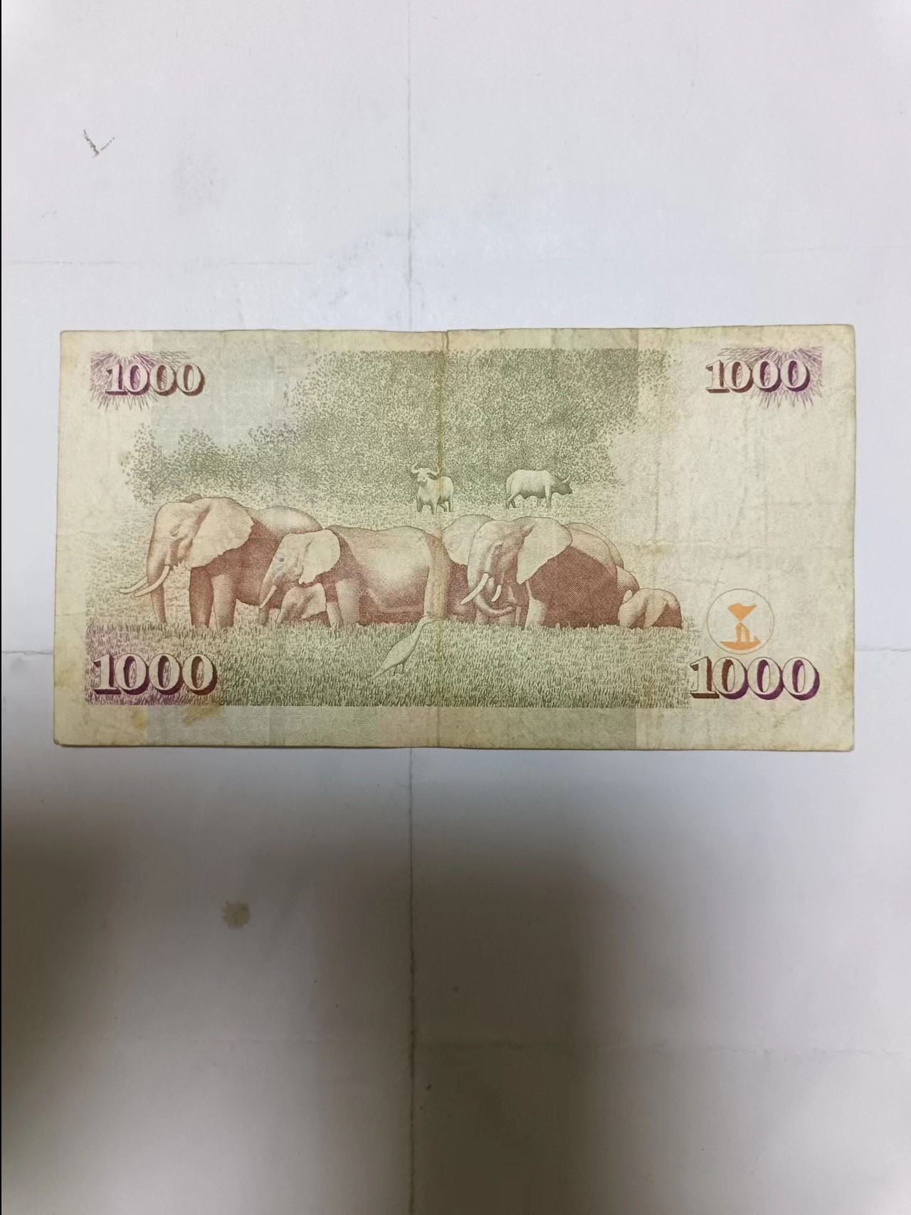 【20231003】非全新纸币第七十三场 肯尼亚2010年1000先令，有裂缝