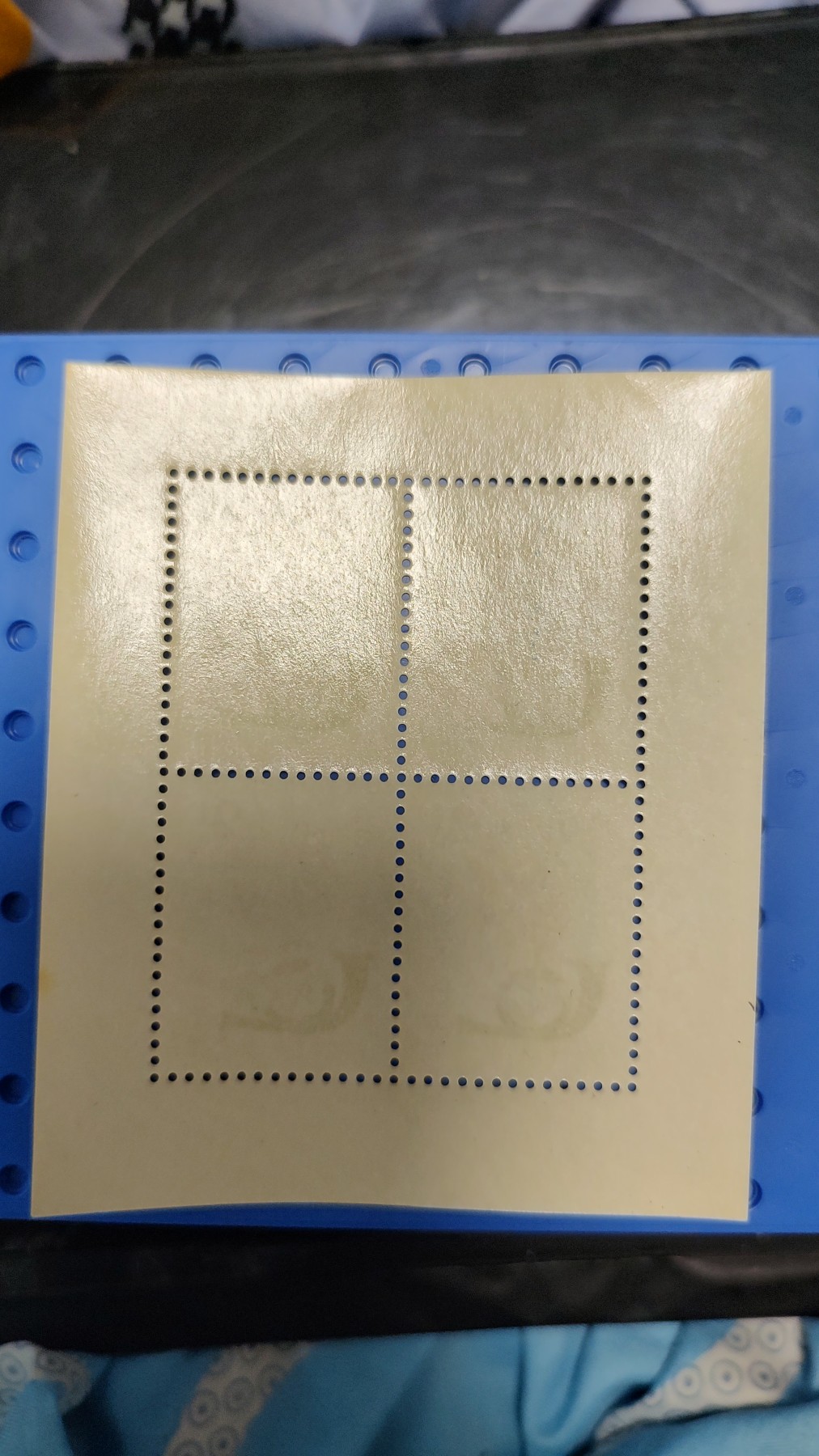 一月邮币社第四期拍卖国际邮票专场 1963年匈牙利花朵小全张