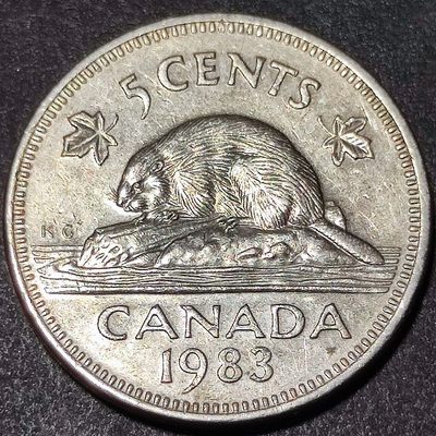 240126 加拿大5分海狸动物21mm 美洲各国外币硬币钱币年份随机