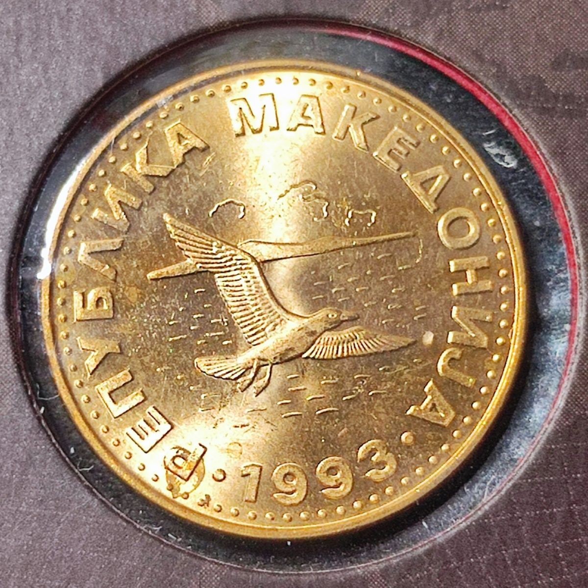 231003专场 马其顿硬币 50顿 1993年版 动物 鸟 21.5mm 欧洲钱币 全新21229