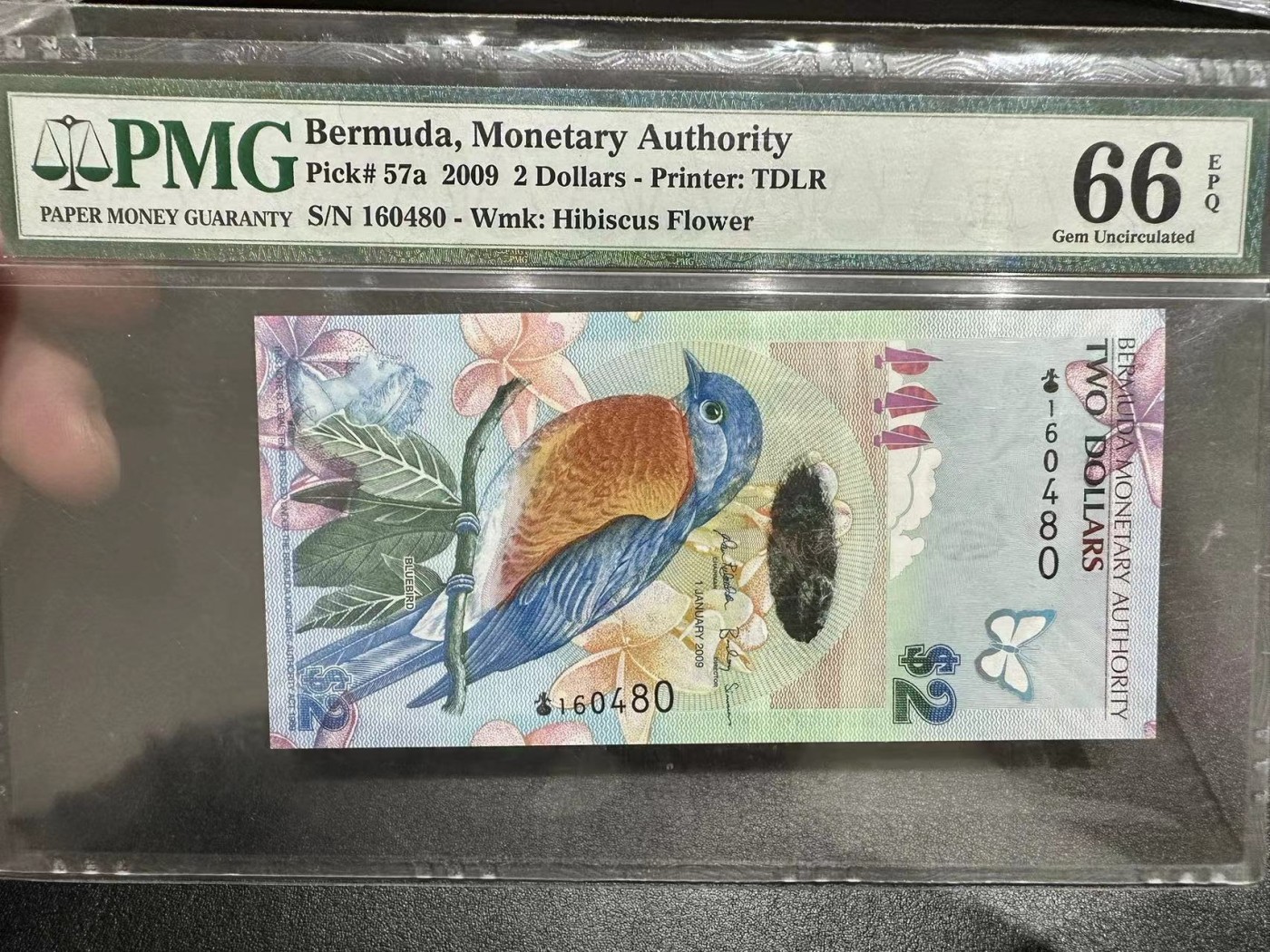 《外钞收藏家》第三百零三期（连拍第二场） 2009年百慕大2元 洋葱冠 获奖钞 PMG66