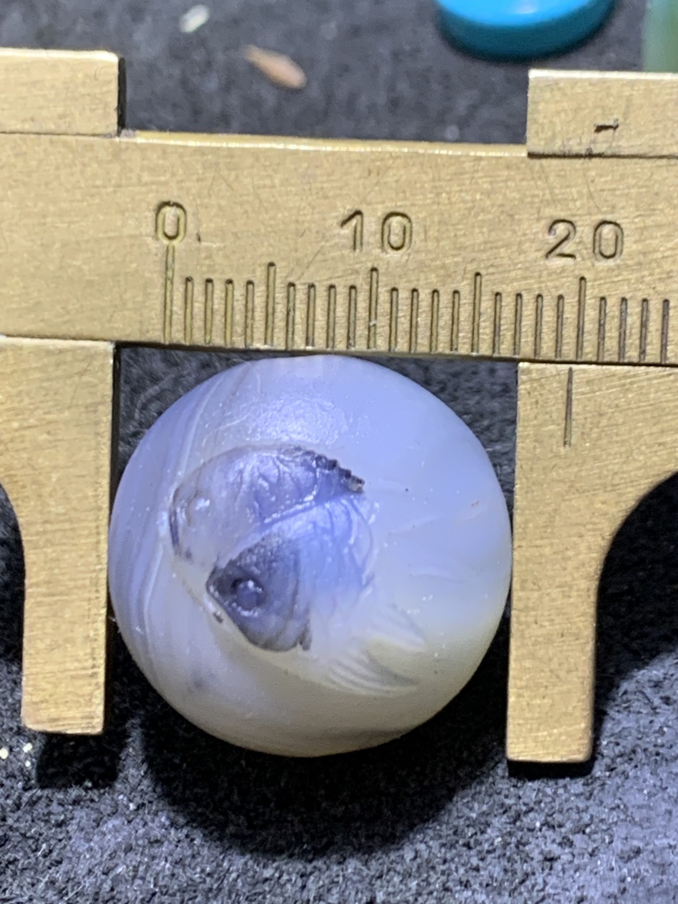 精美高玉化亚光海洋玉髓手工俏色巧雕双鱼随形圆珠一个！寓意：连年有余，
