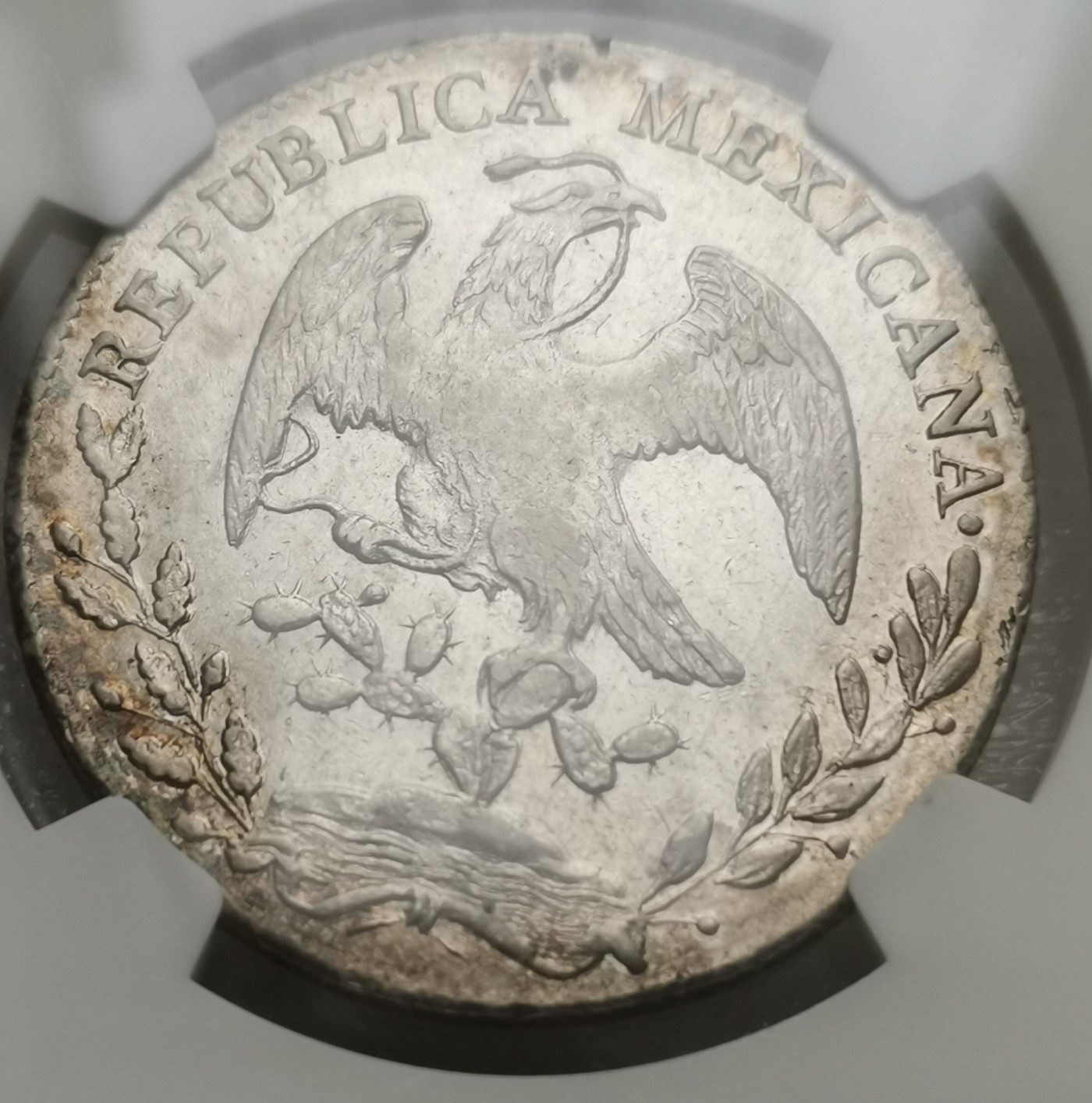 瓶子🏺第112期拍卖会  NGC-AUD墨西哥1843年8里亚尔 少见早期鹰洋