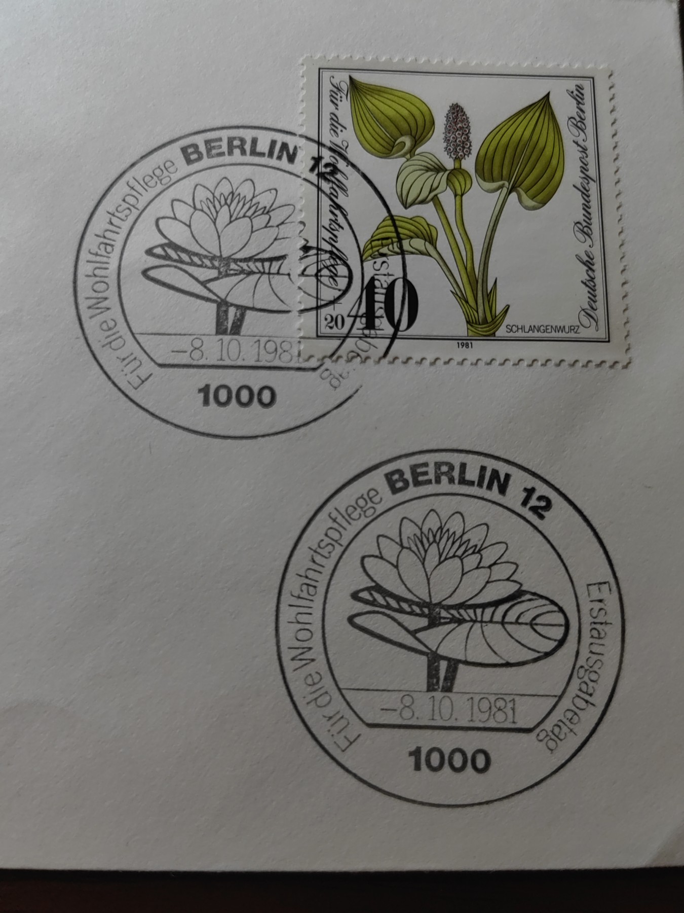外国邮品精品专场（秒杀）第①②场 德国西柏林1981 濒危植物花卉 邮封2件