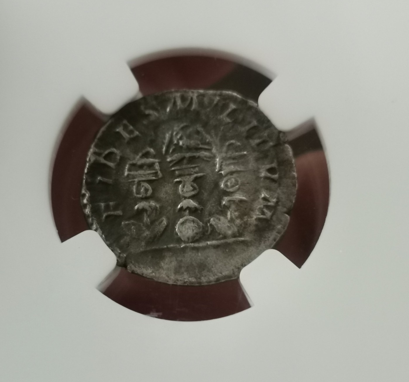 瓶子🏺第112期拍卖会  古罗马狄纳里银币埃拉伽巴 公元220-221年