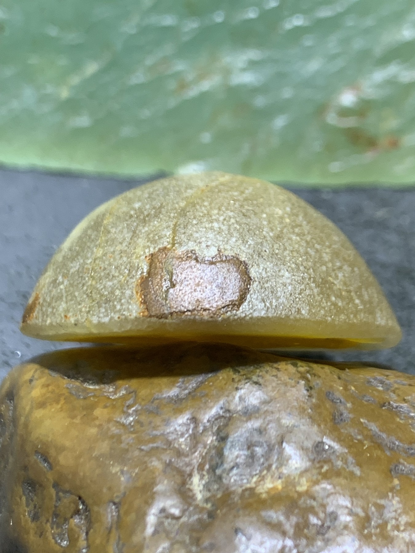 精美原皮亚光高玉化冻料飘金沙鸡油黄蒙料战国红玛瑙手工俏色巧雕金龙鱼随形吊坠一个！