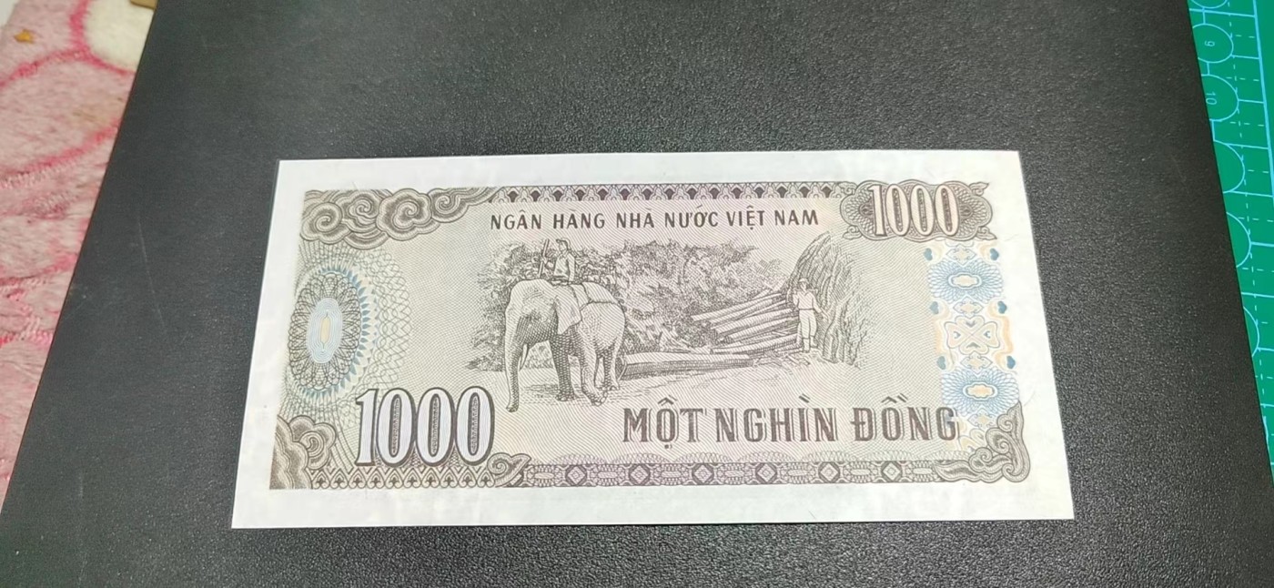 杂七杂八各种藏品 越南盾一张，面值1000