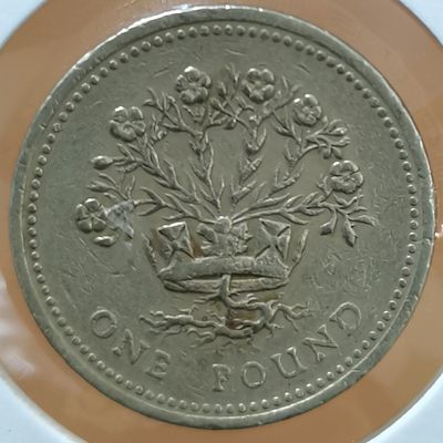 英国 1991年 1镑纪念币 品相如图 邮费自理 - 英国 1991年 1镑纪念币 品相如图 邮费自理