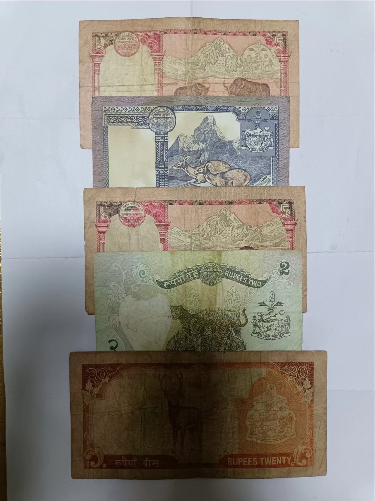 【20231009】非全新纸币第七十五场 尼泊尔5张纸币