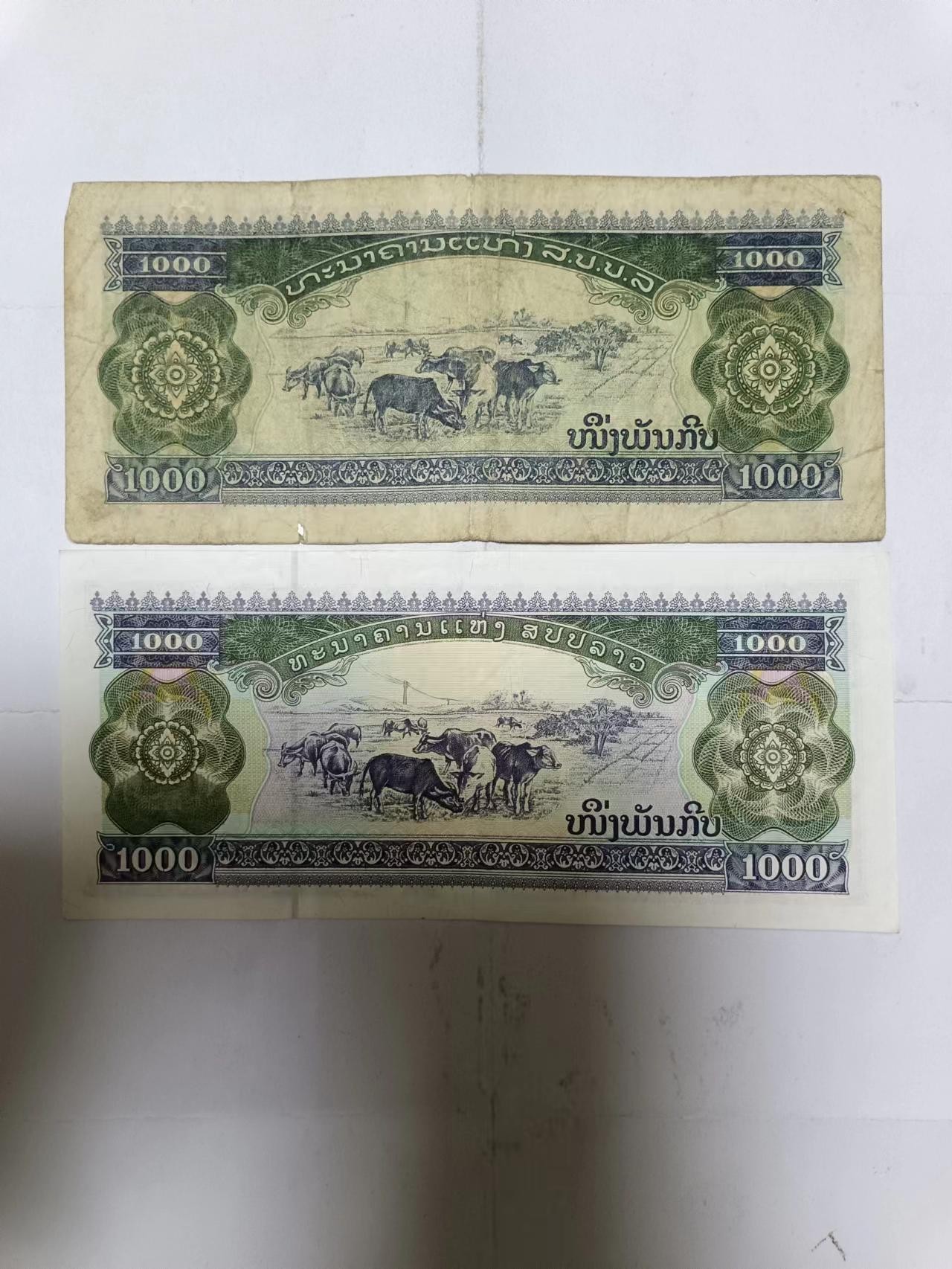 【20231009】非全新纸币第七十五场 老挝1000基普2种不同版本，有裂缝