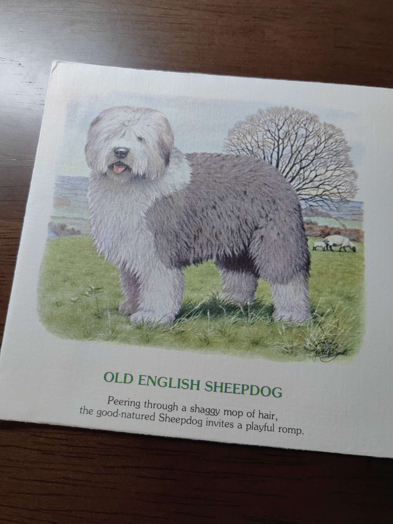 外国邮品精品专场（秒杀）第①③场 英国1979 英国犬