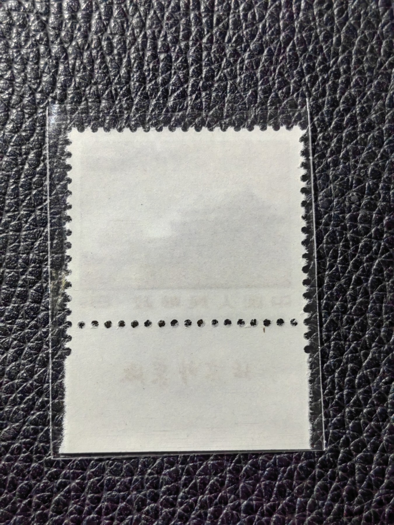 洪涛臻品批发群 精选邮票限时拍卖第四百零三期  ★组外品★解放军  厂名红太阳 裸票一枚，【厂名三俗稀缺货】，全品可评级，喜欢不要错过