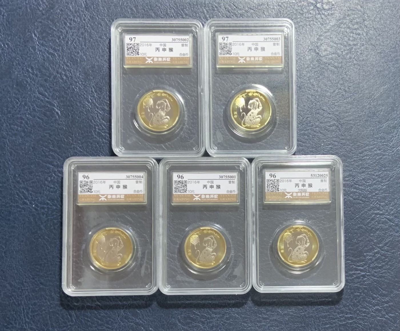 收藏联盟Quantum Auction 第295期拍卖  中国人民银行2016年猴年生肖纪念币5枚 源泰评级96-97