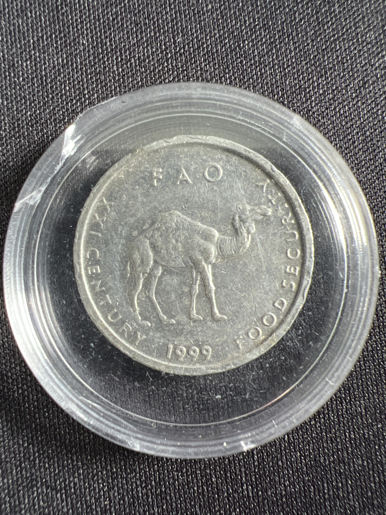 第429期 硬币专场 （无押金，捡漏，全场20包邮，偏远地区除外，接收代拍业务） 索马里骆驼