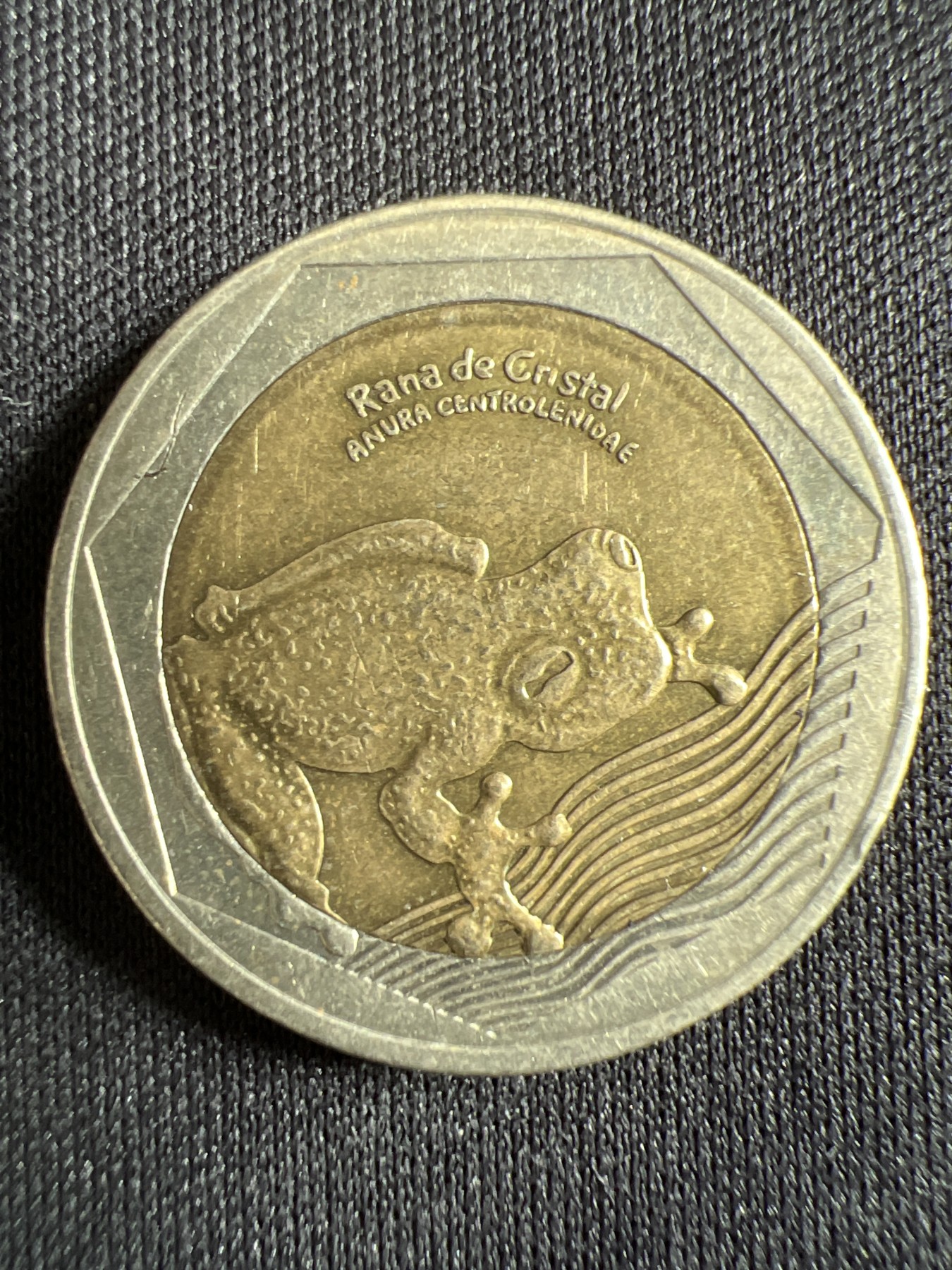 第428期 硬币专场 （无押金，捡漏，全场20包邮，偏远地区除外，接收代拍业务） 哥伦比亚500比索 树蛙