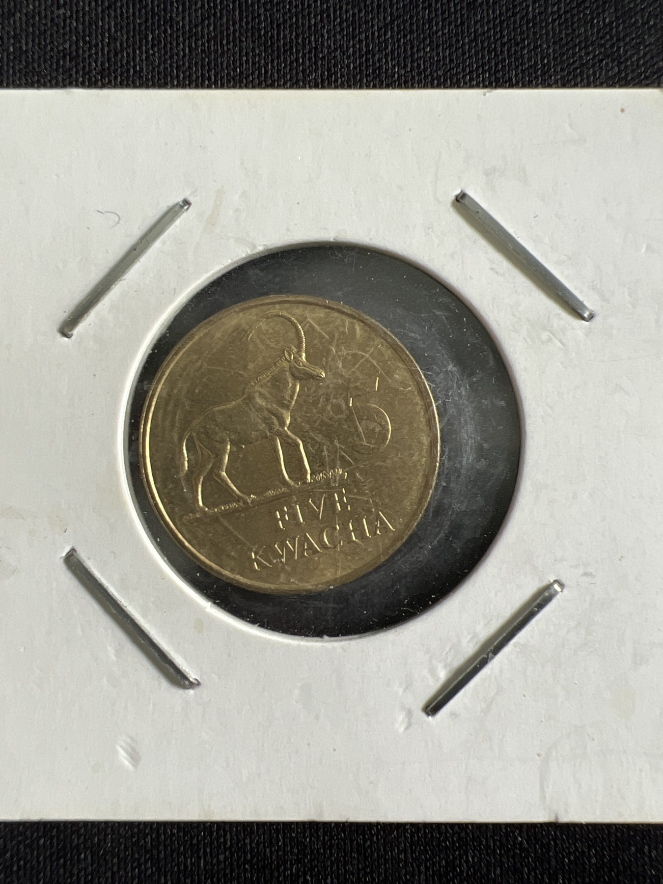 第429期 硬币专场 （无押金，捡漏，全场20包邮，偏远地区除外，接收代拍业务） 赞比亚5克瓦查