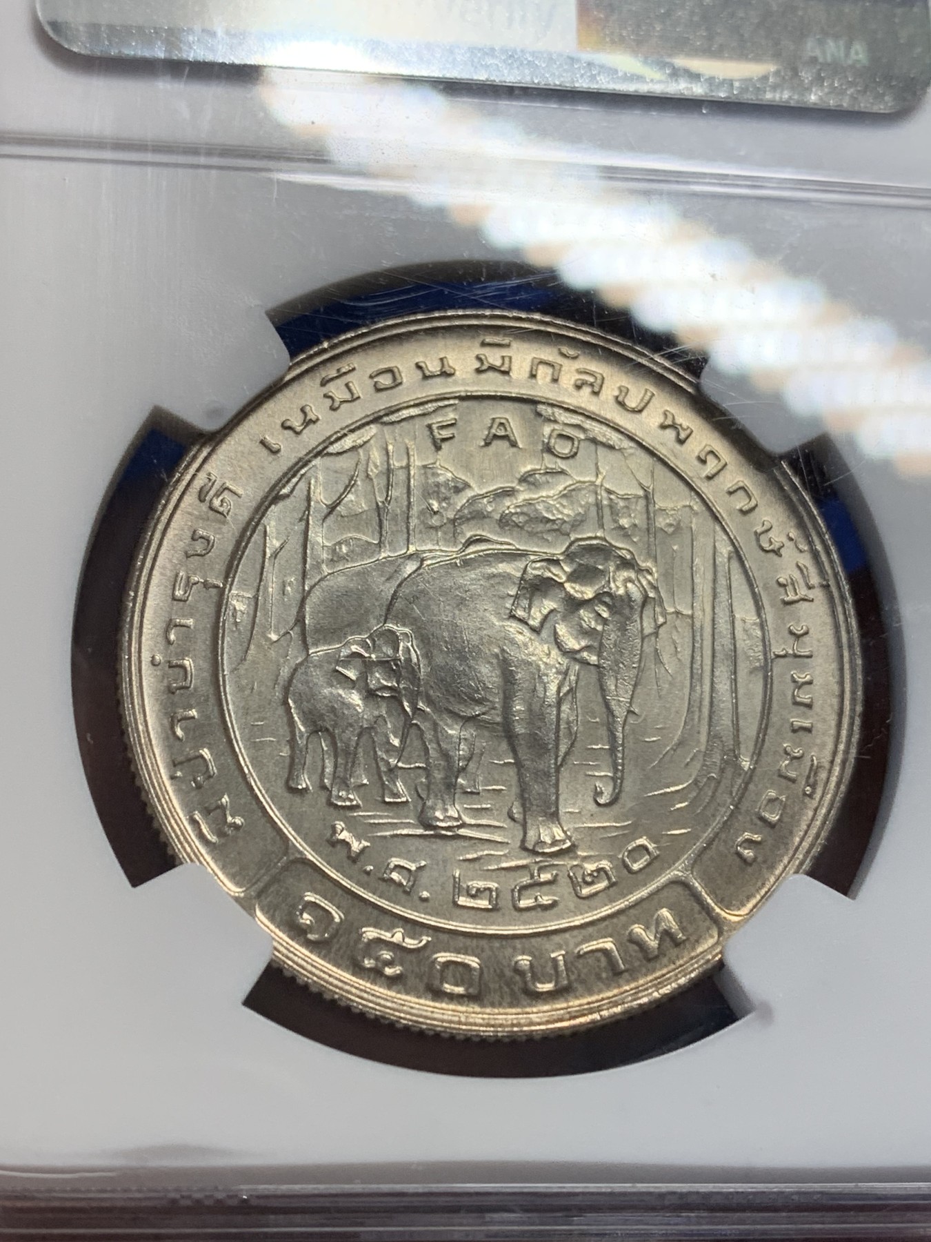 《竞宝斋》第205场-周日，周一 2场 (全场包邮) NGC-MS66 泰王国AD1977年拉玛九世纪念银币 国王视察指导场景 FAO系列 150铢 22.31g 黄油彩