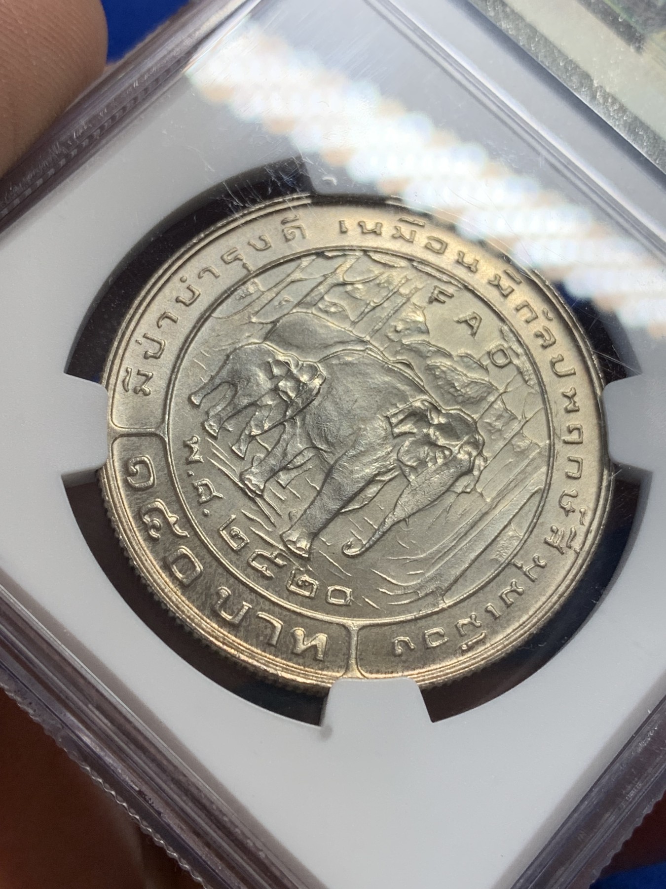 《竞宝斋》第205场-周日，周一 2场 (全场包邮) NGC-MS66 泰王国AD1977年拉玛九世纪念银币 国王视察指导场景 FAO系列 150铢 22.31g 黄油彩