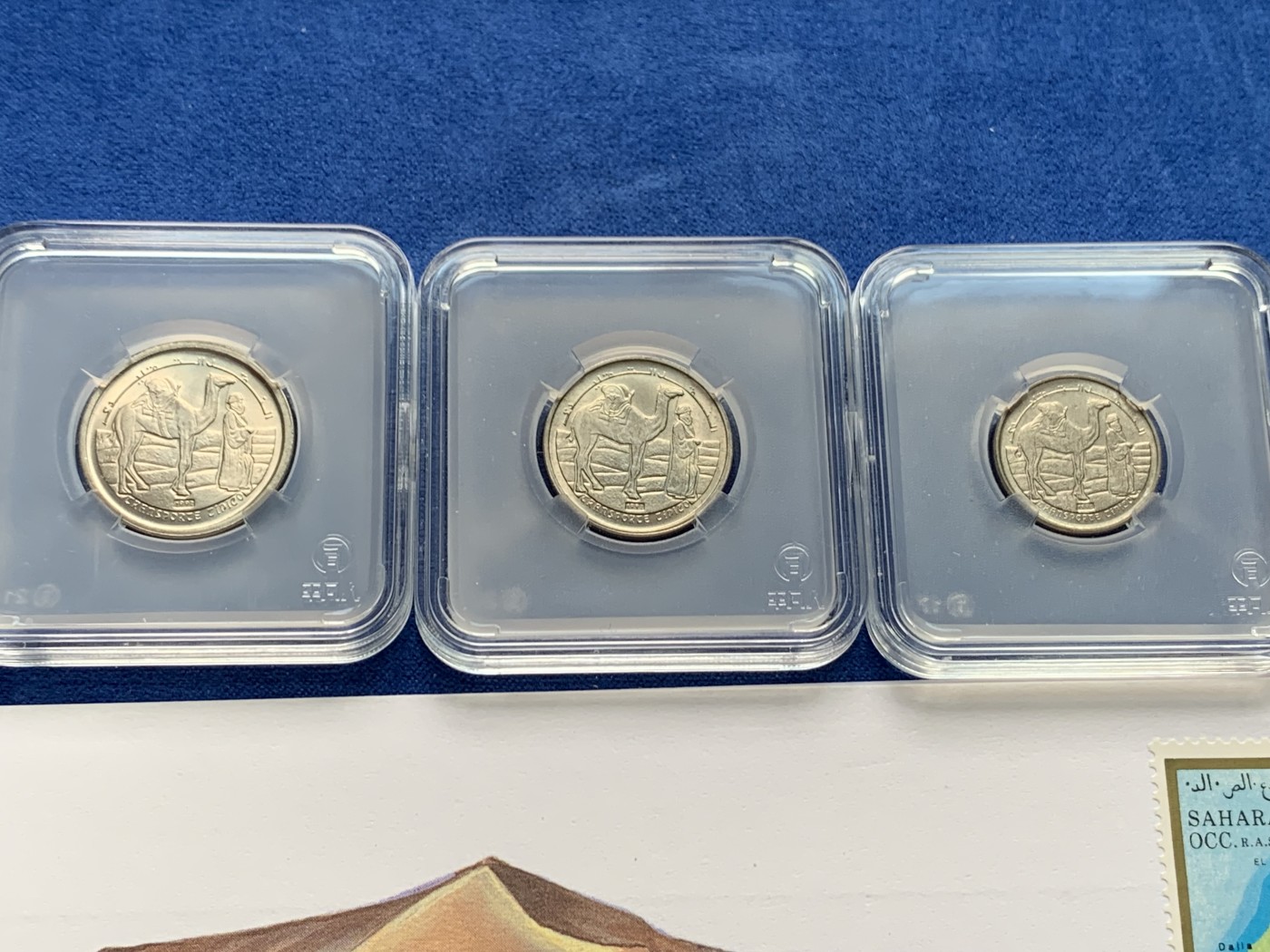 《竞宝斋》第205场-周日，周一 2场 (全场包邮) 西撒哈拉1990-1992年四枚套，1-50比塞塔 unc-bu好品，50比塞塔信封装稀有！