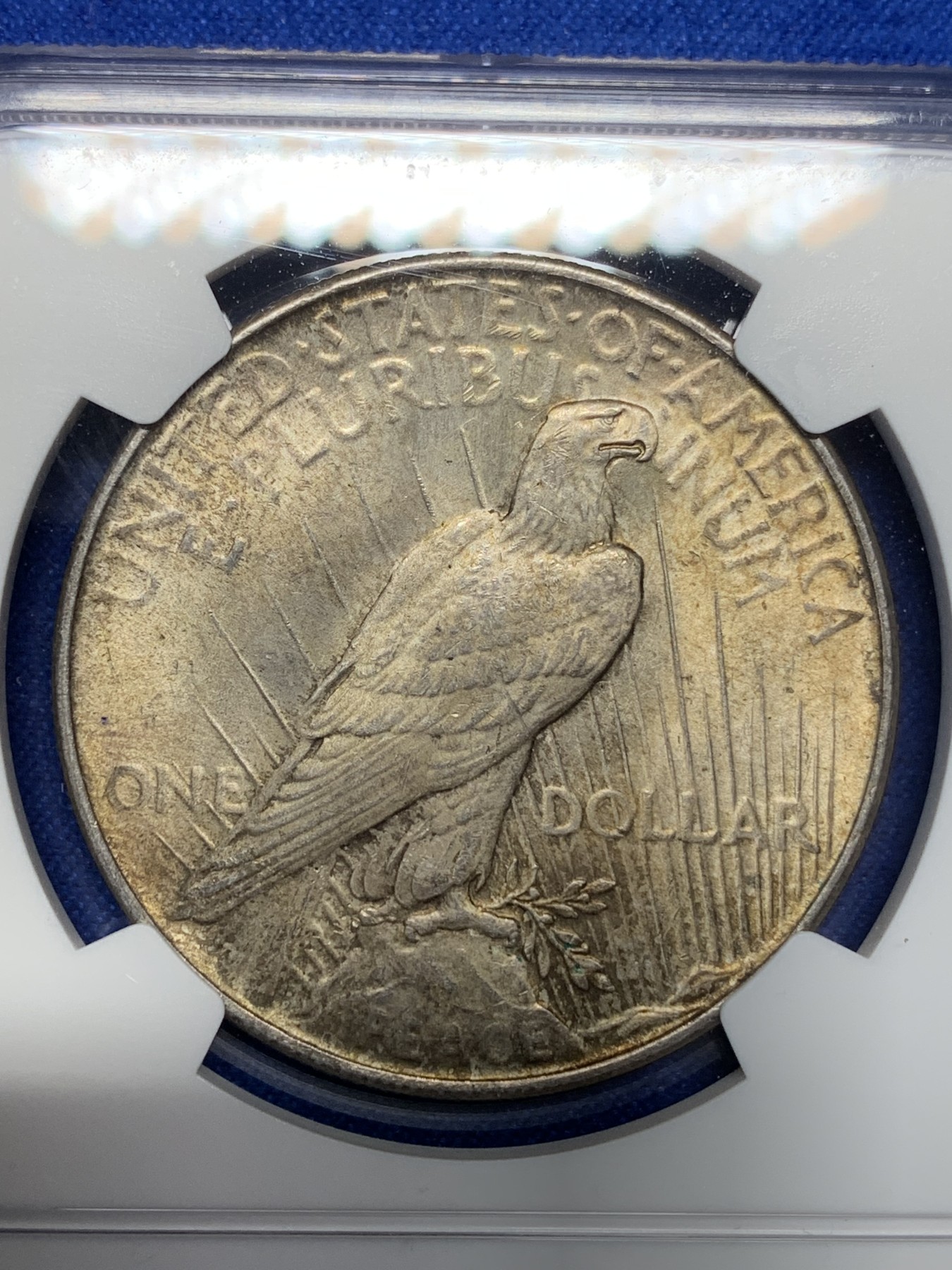 《竞宝斋》第205场-周日，周一 2场 (全场包邮) NGC MS63 美国1922年和平鸽1美元大银币 转光加深彩包浆