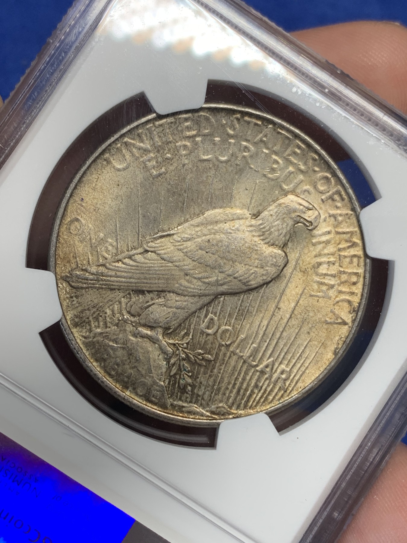 《竞宝斋》第205场-周日，周一 2场 (全场包邮) NGC MS63 美国1922年和平鸽1美元大银币 转光加深彩包浆