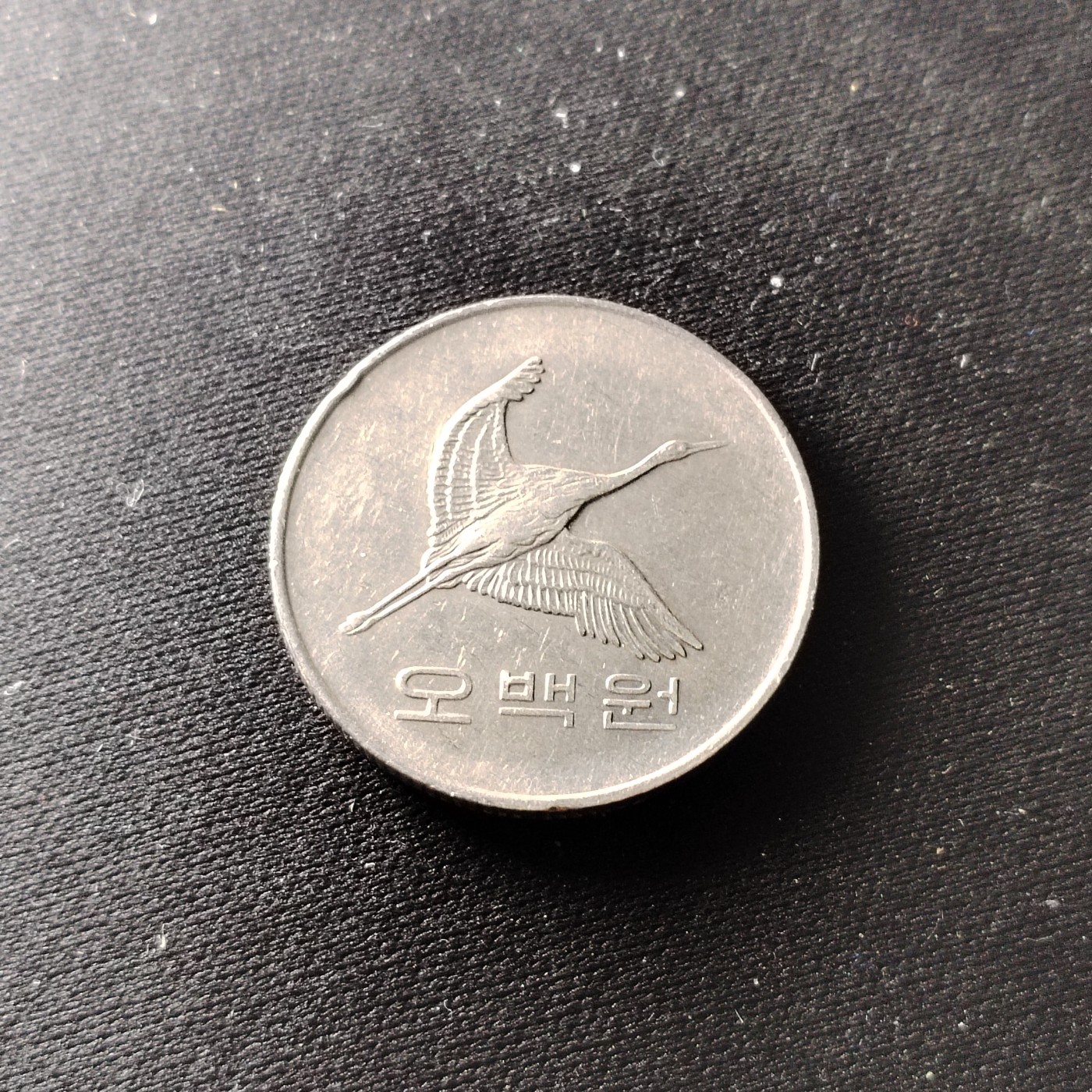 钱币49场 韩币500