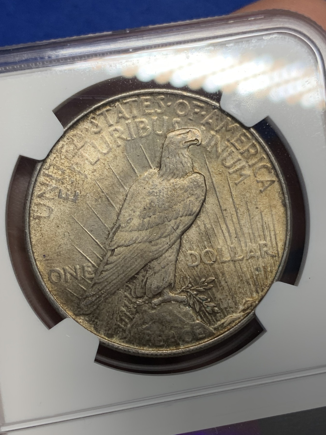 《竞宝斋》第205场-周日，周一 2场 (全场包邮) NGC MS63 美国1922年和平鸽1美元大银币 转光加深彩包浆