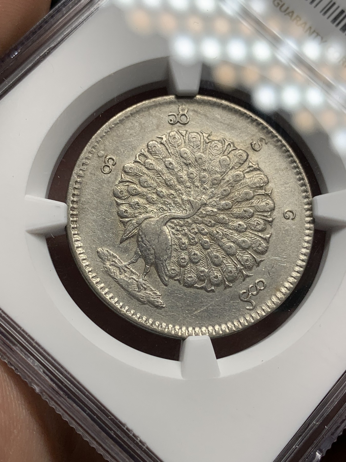 《竞宝斋》第205场-周日，周一 2场 (全场包邮) NGC AUD 缅甸1852年孔雀1卢比银币，羽毛细节好