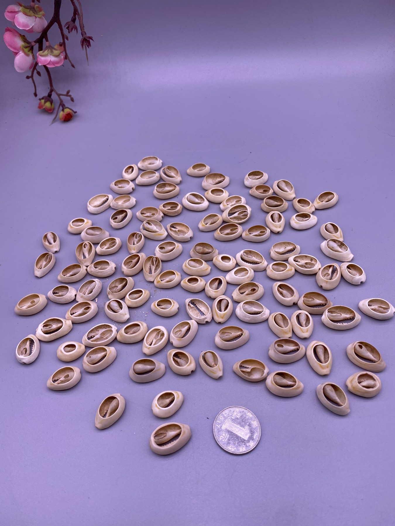美品贝币100枚，品相如图，300包快递
