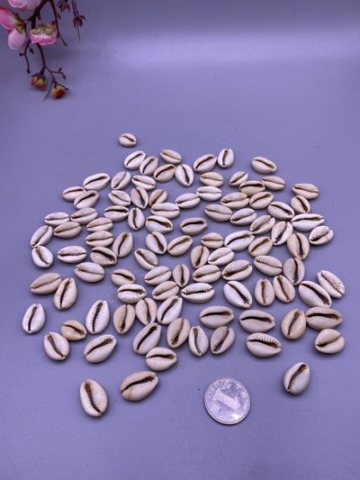 美品贝币100枚，品相如图，300包快递 - 美品贝币100枚，品相如图，300包快递