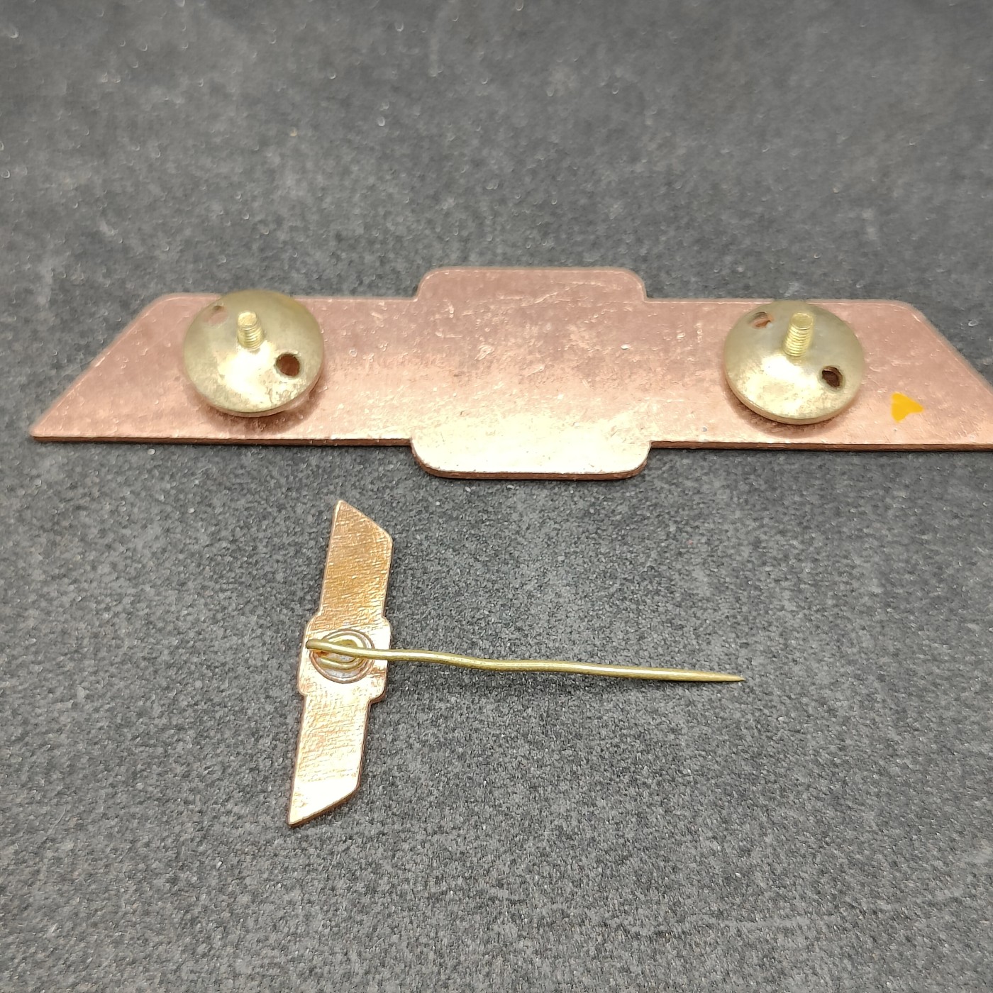 全场0元起拍 第99期 咸鱼国勋章拍卖专场 10月15日（周日）下午6：00开始 东德人民军63版通用技能章带迷你章