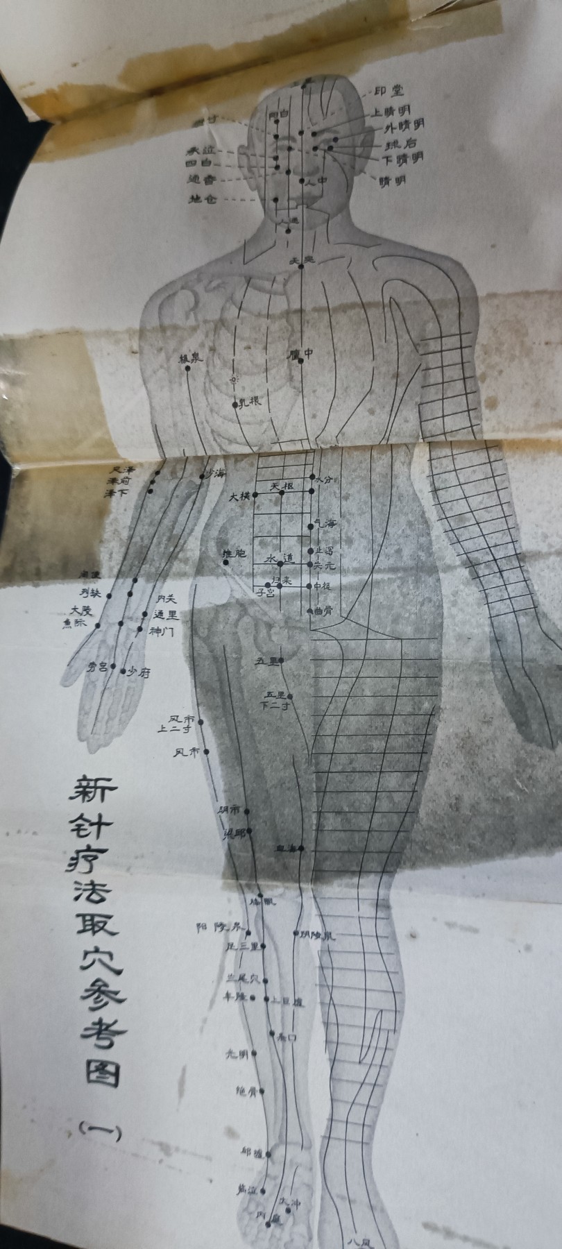 天字一号精品书章拍卖！ wegame老医书，各种穴位、针灸疗法，多图