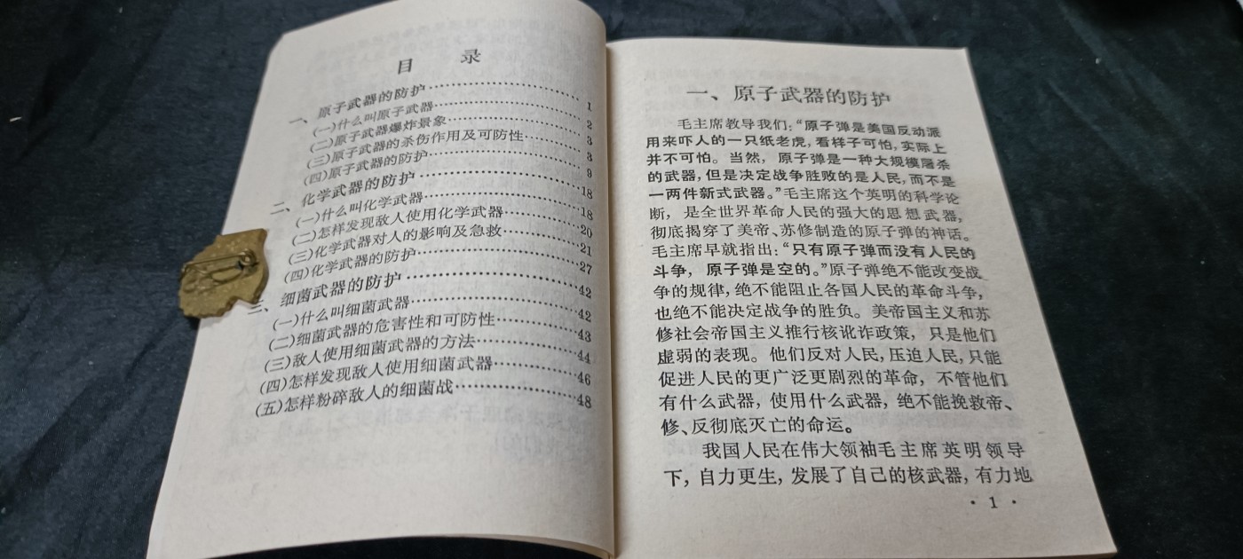 天字一号精品书章拍卖！ 防辐射秘籍