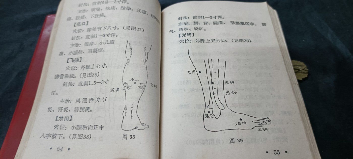 天字一号精品书章拍卖！ wegame老医书，各种穴位、针灸疗法，多图