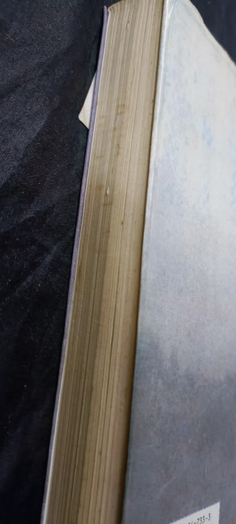 天字一号精品书章拍卖！ 东兴传