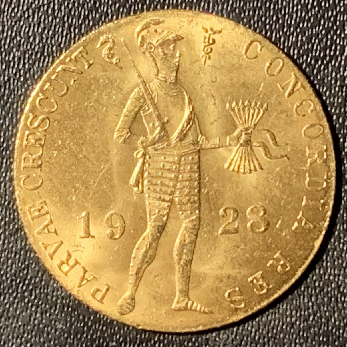 紫瑗钱币——第315期拍卖 荷兰 1974年 武士 1杜卡特 3.5克 0.983金 UNC