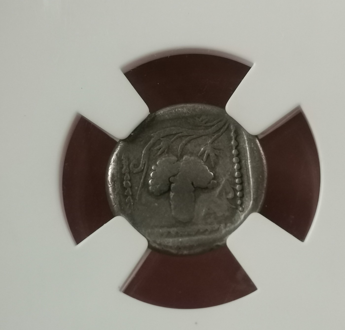 瓶子🏺第113期拍卖会  古希腊北部色雷斯马洛尼亚 3奥波银币 2.6g 公元前377-前365年