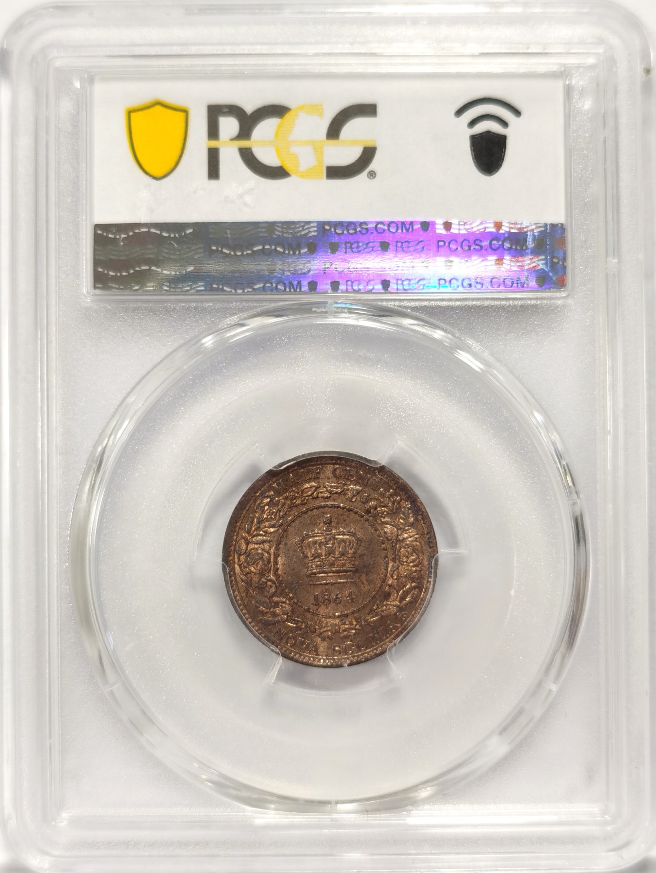 博洋堂世界钱币拍卖第047期（全场包邮） PCGS MS64RB 英属加拿大新斯科舍省1864年维多利亚1/2便士，少见品种，高分更是难得