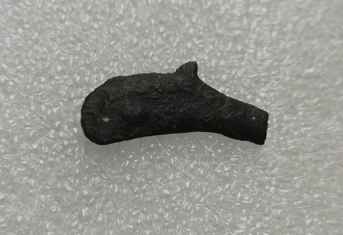 瓶子🏺第113期拍卖会   公元前5世纪古希腊西徐亚地区萨尔马提亚发行海豚铜币