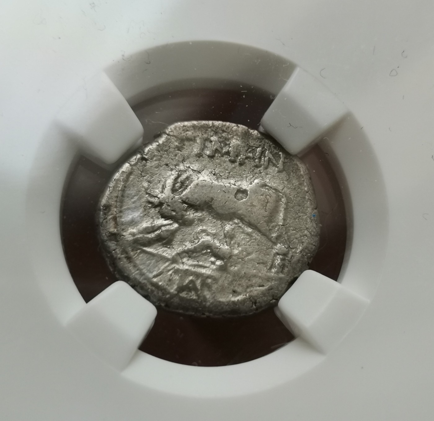 瓶子🏺第113期拍卖会  古希腊公元前230-前229年伊鲁雷亚-杜拉其翁“母牛和小牛”银币