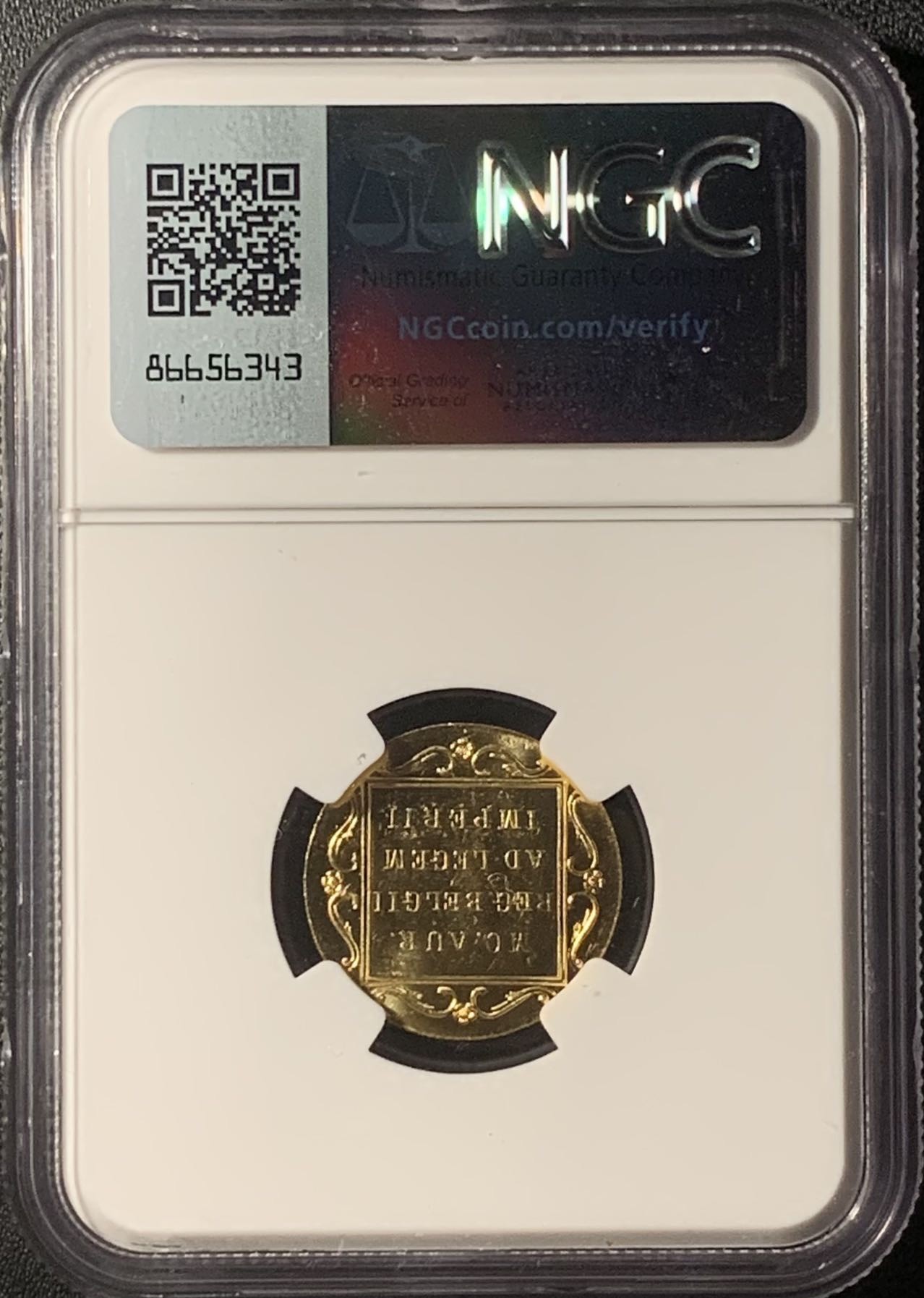 紫瑗钱币——第331期拍卖