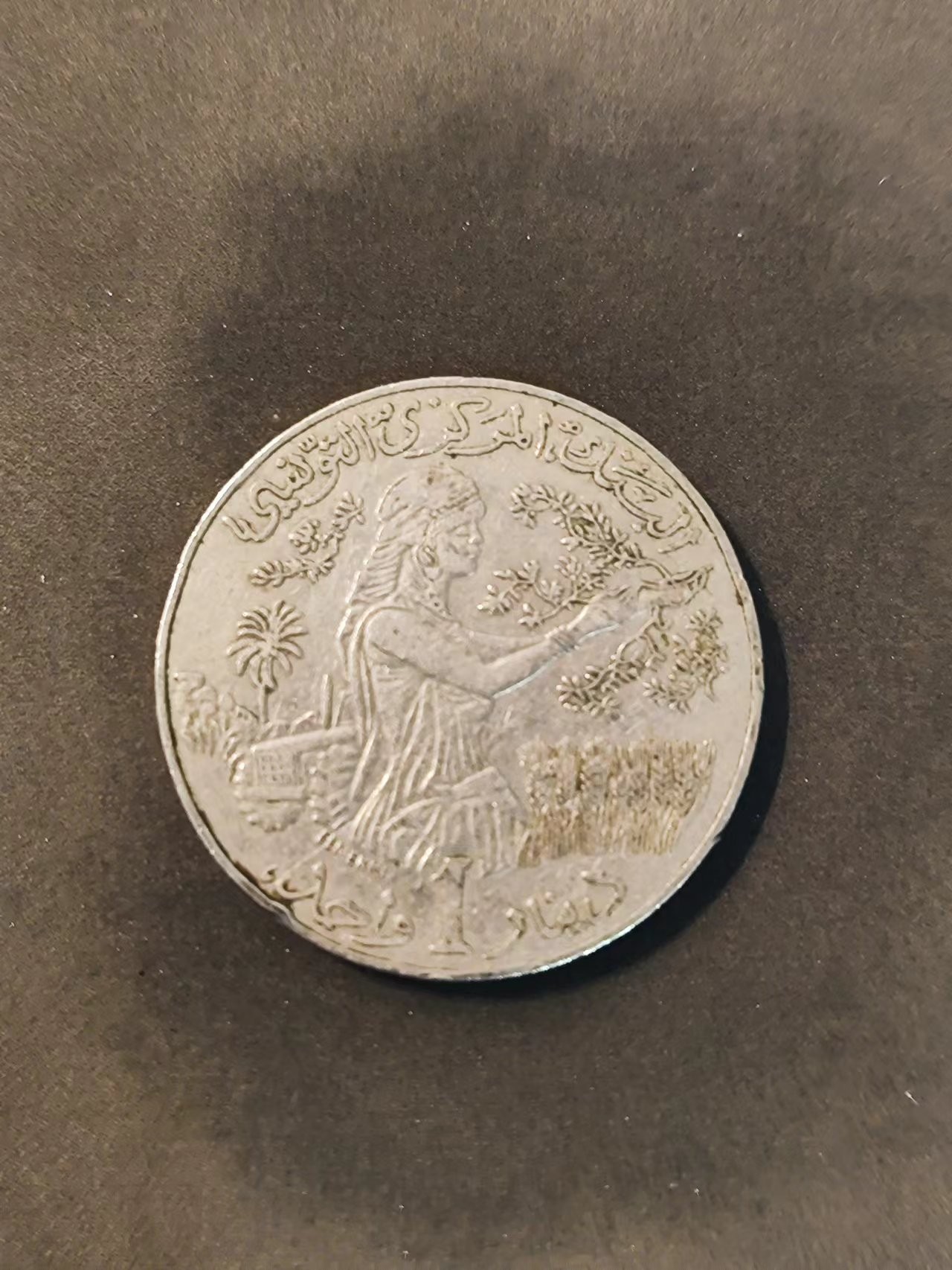 FCO-3-散币 突尼斯1976年1第纳尔