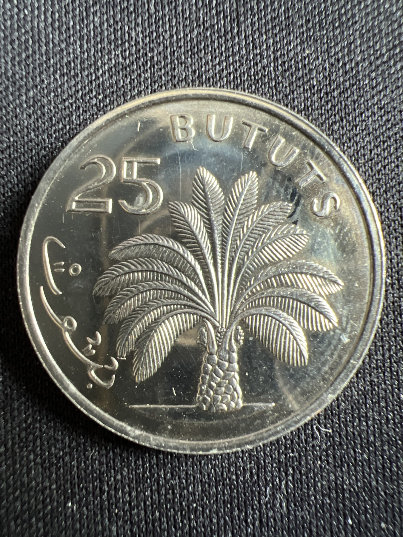 第434期 硬币专场 （无押金，捡漏，全场20包邮，偏远地区除外，接收代拍业务） 冈比亚25布图