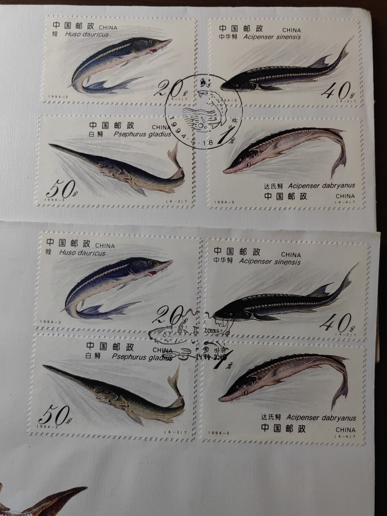 中国邮封精品专场（秒杀）第①④场 1994-3 鲟 总公司&分公司 首日封