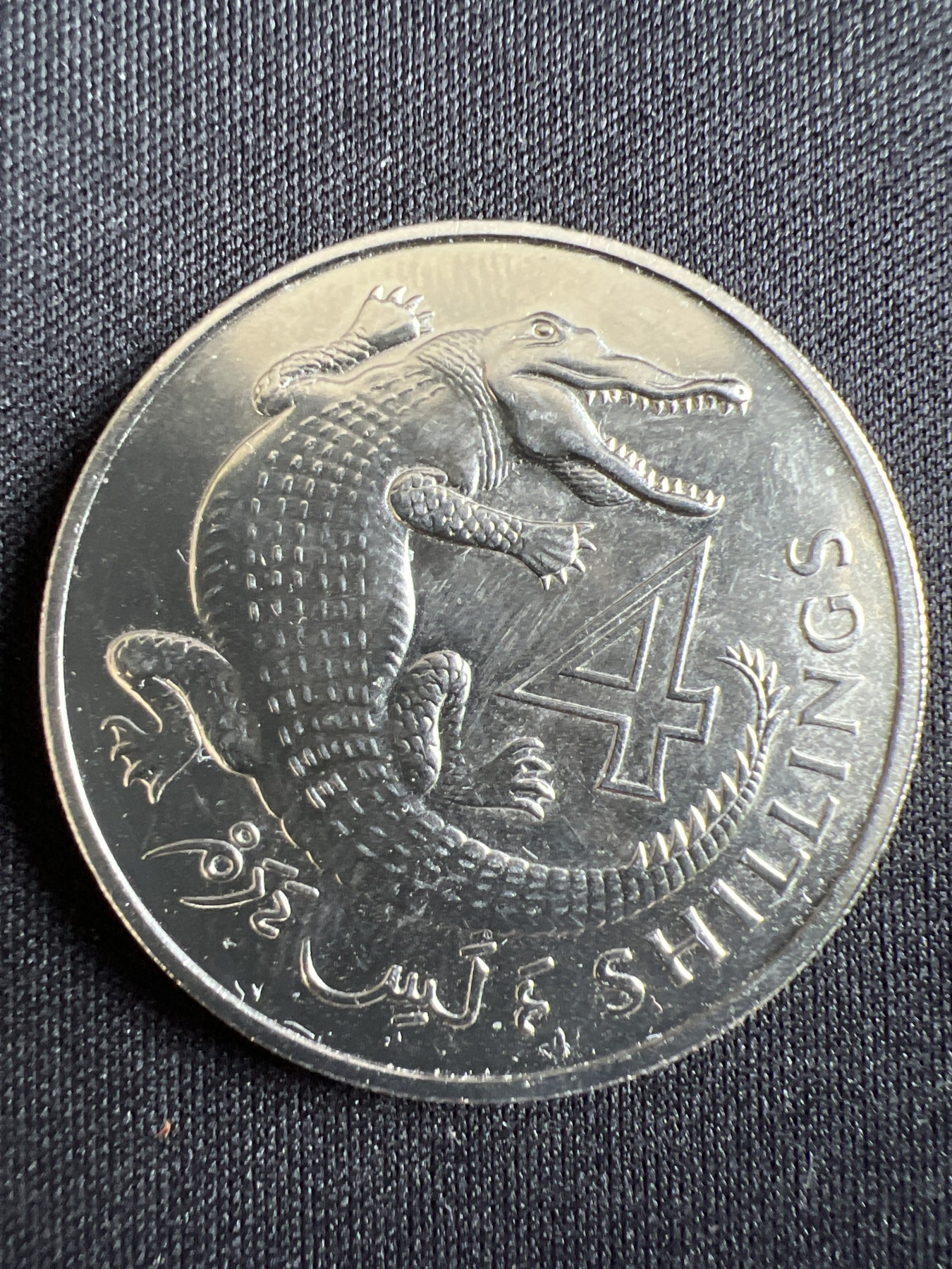 第434期 硬币专场 （无押金，捡漏，全场20包邮，偏远地区除外，接收代拍业务） 英属冈比亚4先令