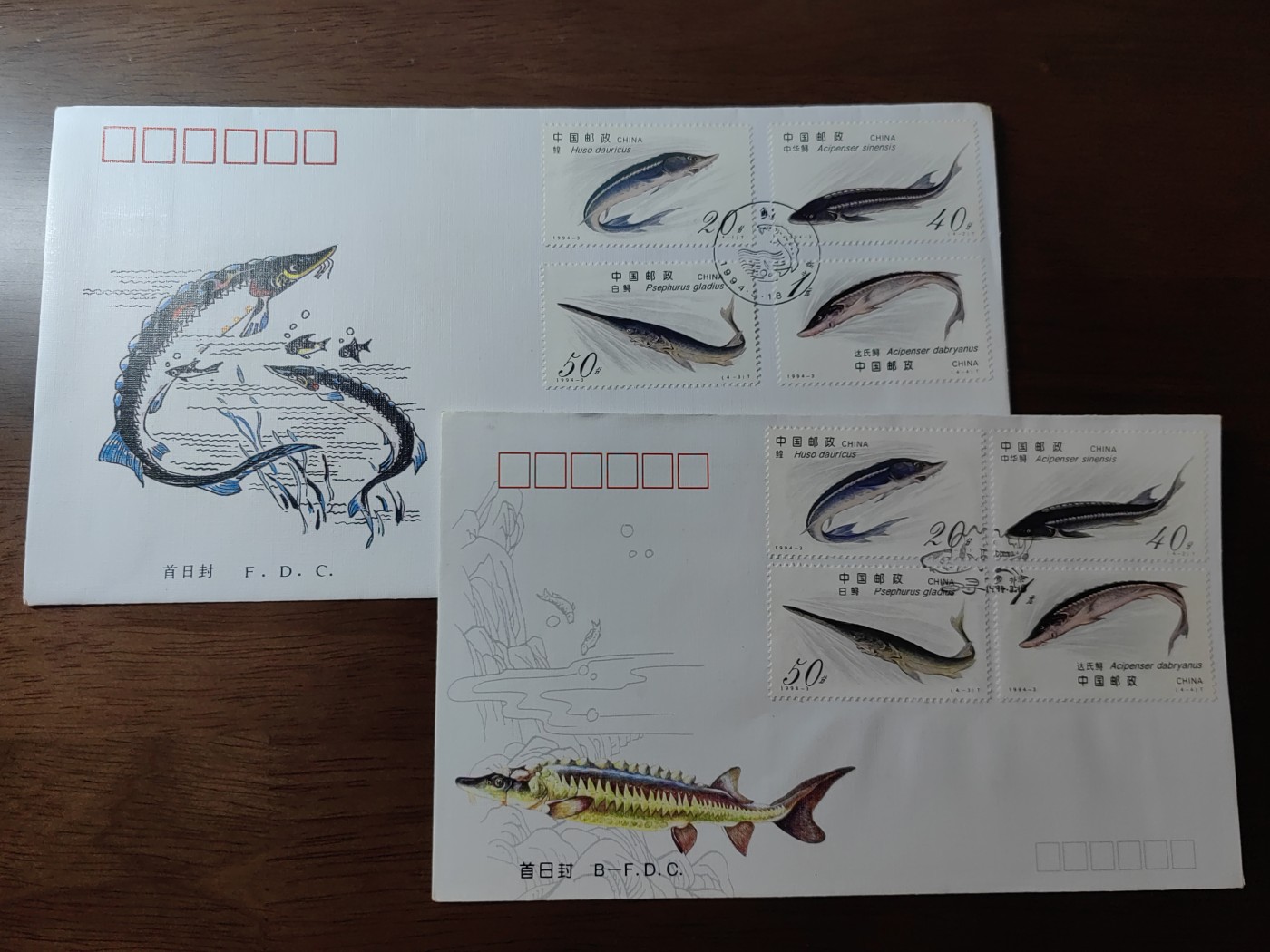 中国邮封精品专场（秒杀）第①④场 1994-3 鲟 总公司&分公司 首日封