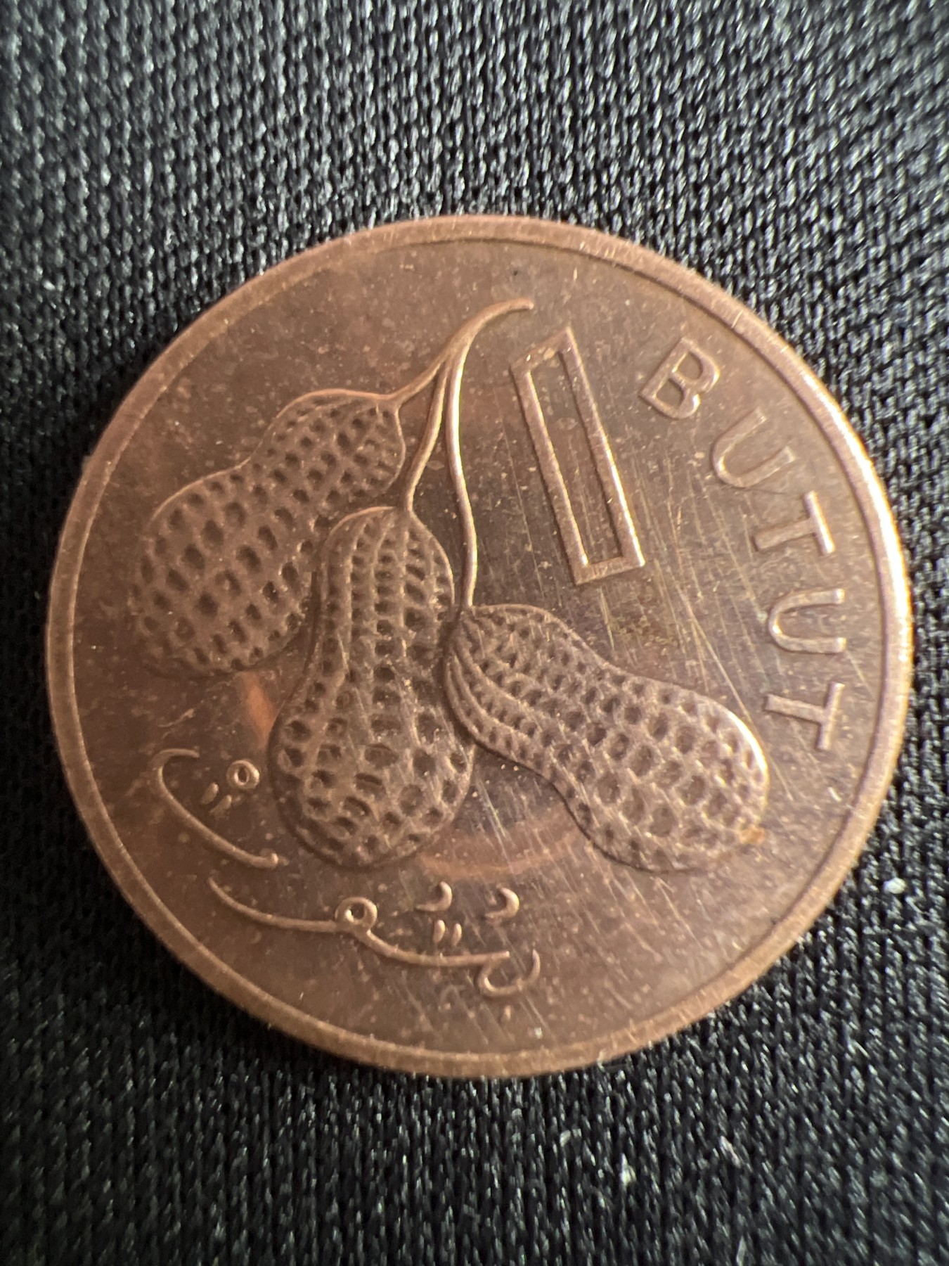 第434期 硬币专场 （无押金，捡漏，全场20包邮，偏远地区除外，接收代拍业务） 冈比亚1布图