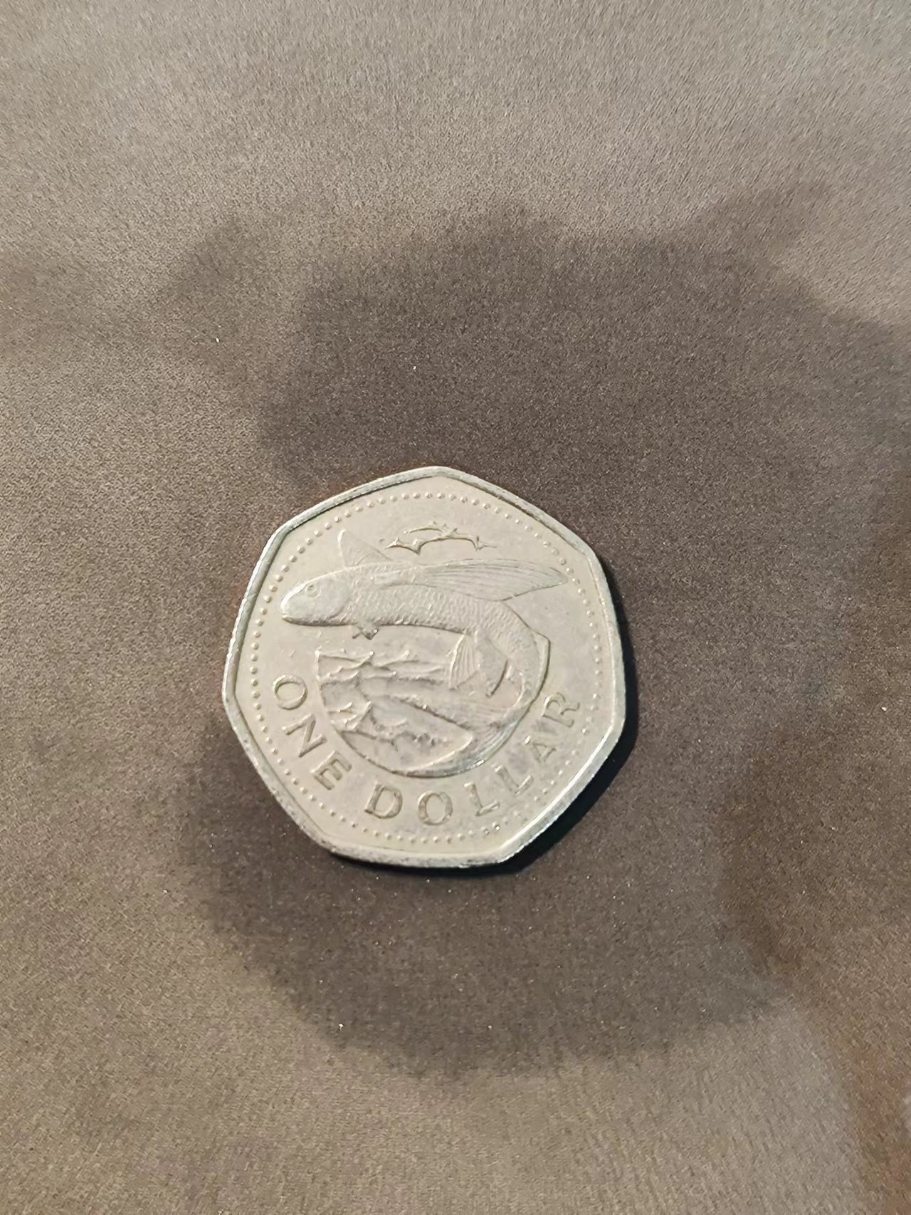 FCO-3-散币 巴巴多斯飞鱼1刀