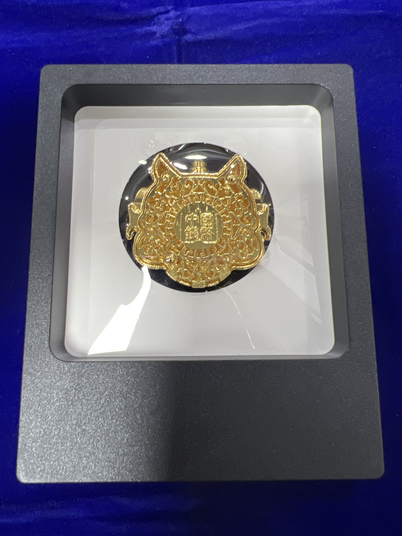 飞翔风筝第7场世界钱币纸币硬币 舞狮头