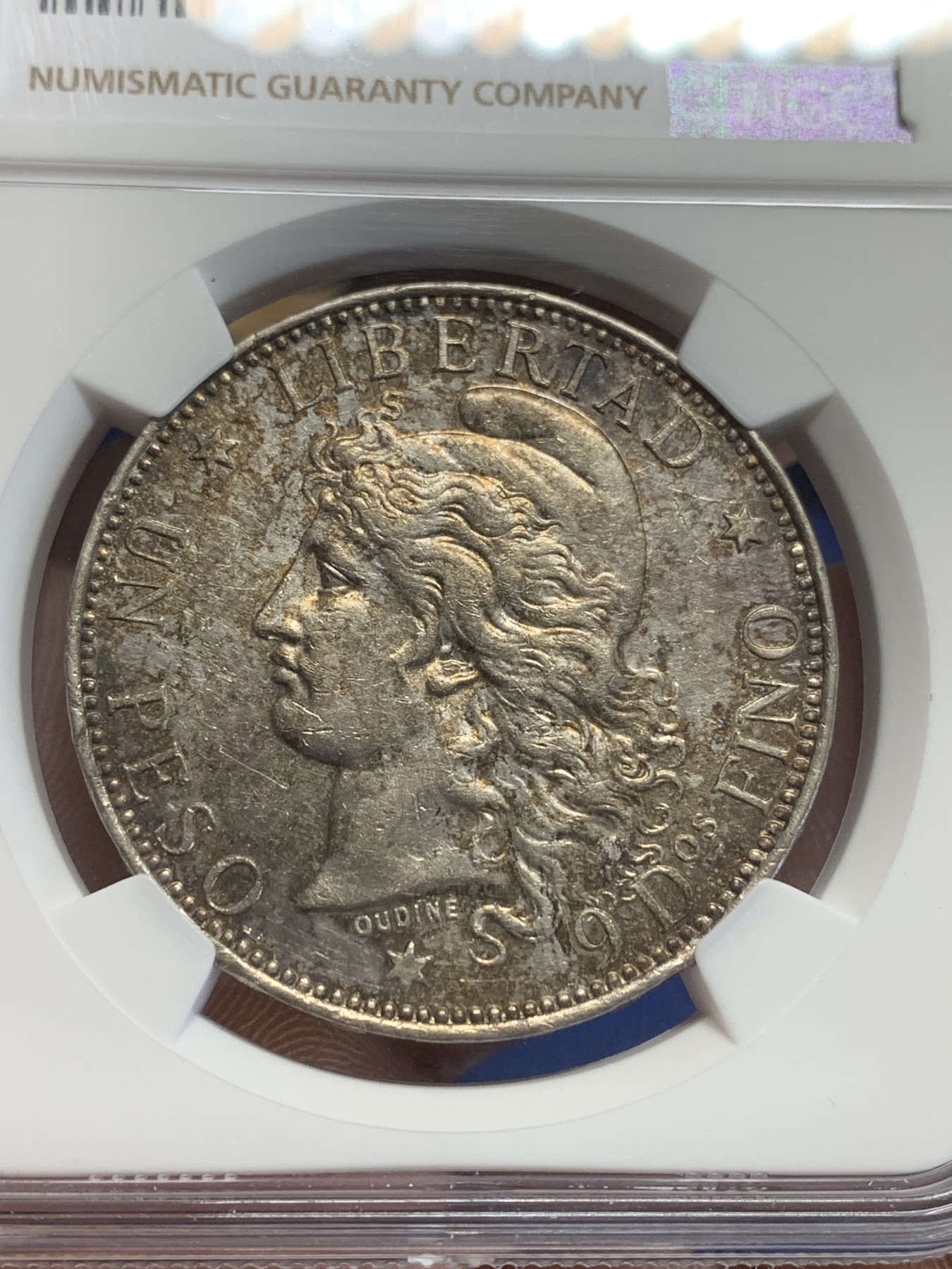 《竞宝斋》第207场-周日，周一 2场 (全场包邮) NGC AUD  1882  阿根廷1比索大银币 热门南美大银 带彩包浆 可以再养养送评